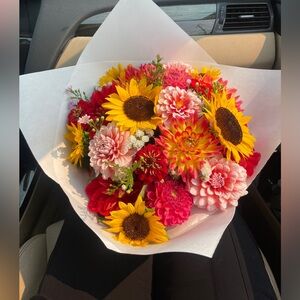 Meet your Posher, Jess